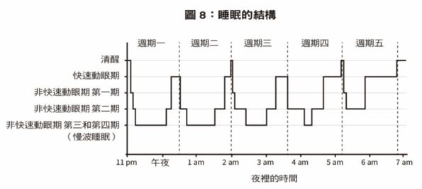 [閱讀心得] 睡滿八小時超重要《為什麼要睡覺？》 - JUJU 愛讀書